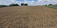 terrain à ST AUBIN (40250)